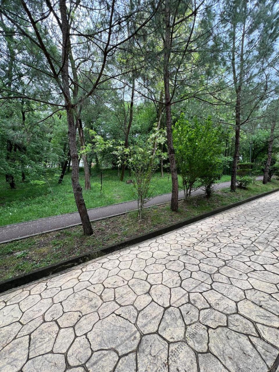 Apartament Cozy Flat Near Air Albania Stadium 1 Tirana